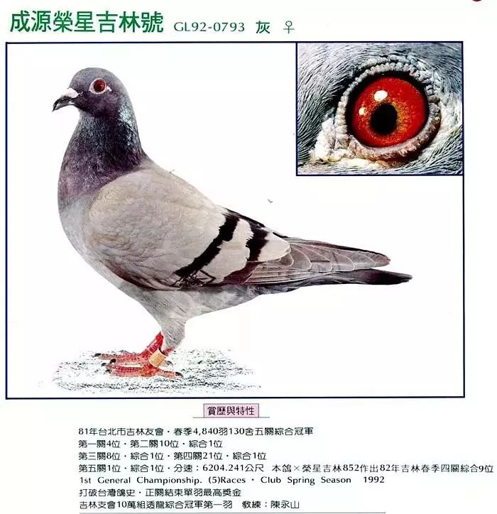 20漣,ȫ,ȴ