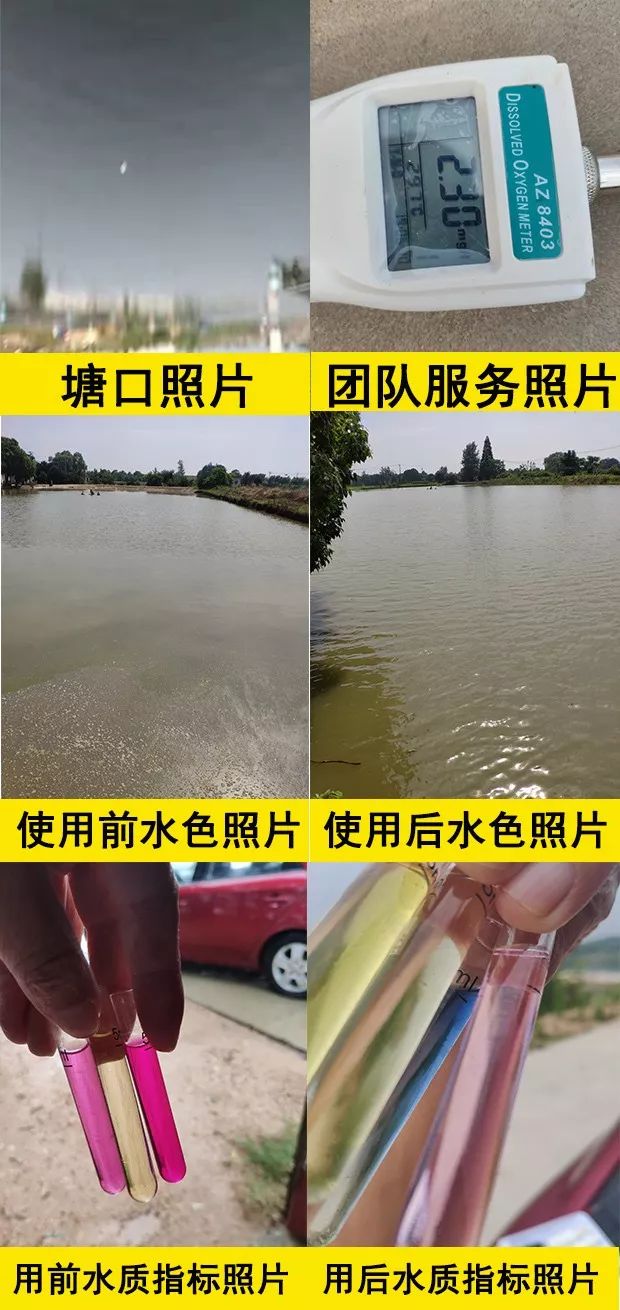 5254da500c06495d92f5b5518f105aaa.jpeg