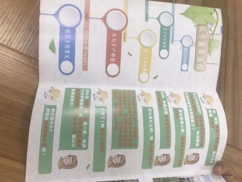认养葡萄的流程