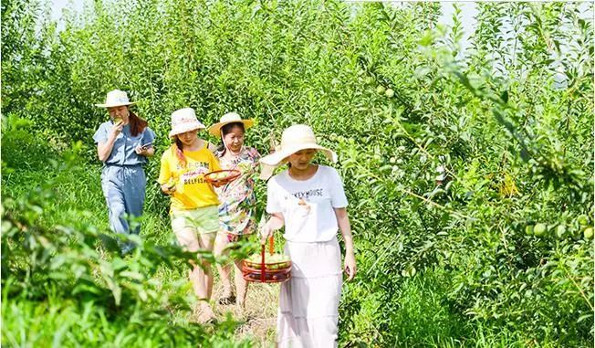 仙缘之仙仙桃，短剧的奇幻之旅