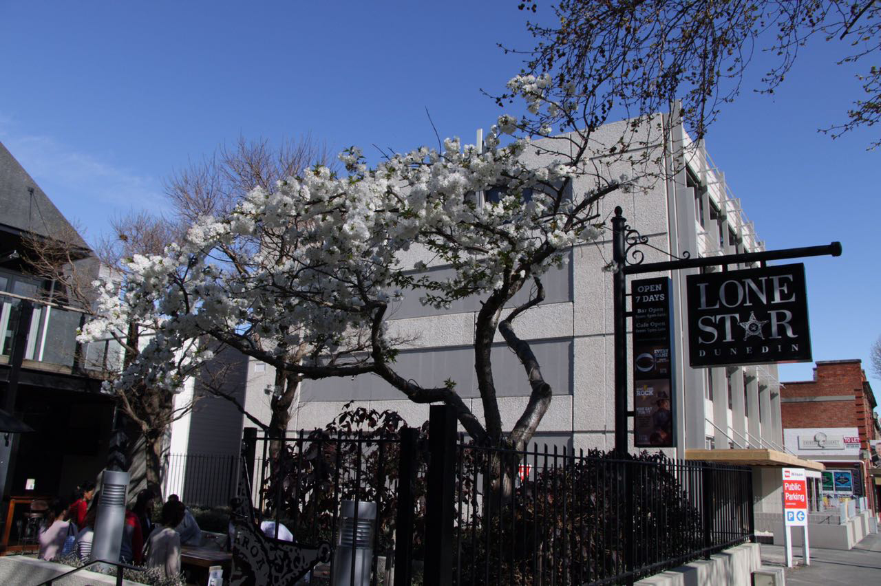 新西兰硕士留学注意事项剖析