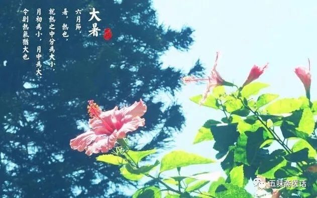 【名医讲堂】大暑如何养生 pt电子游艺平台