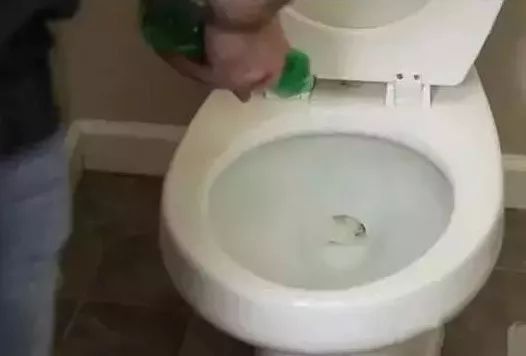 746459f1909345ba9bee63c284055eb0.jpeg