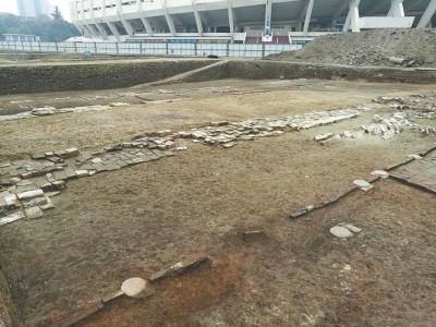 蜀王府动物遗存佐证：古代成都人就爱吃兔儿肉