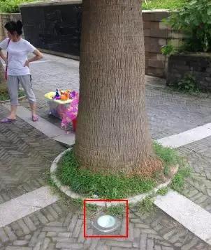                     血的教训，夏天，千万别让孩子去这7个地方