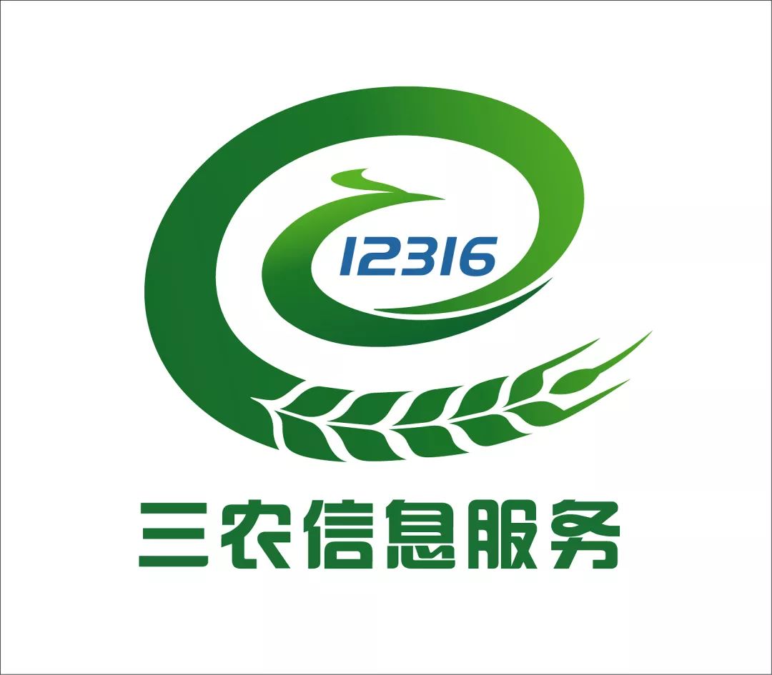 甘肃12316今日坐席专家