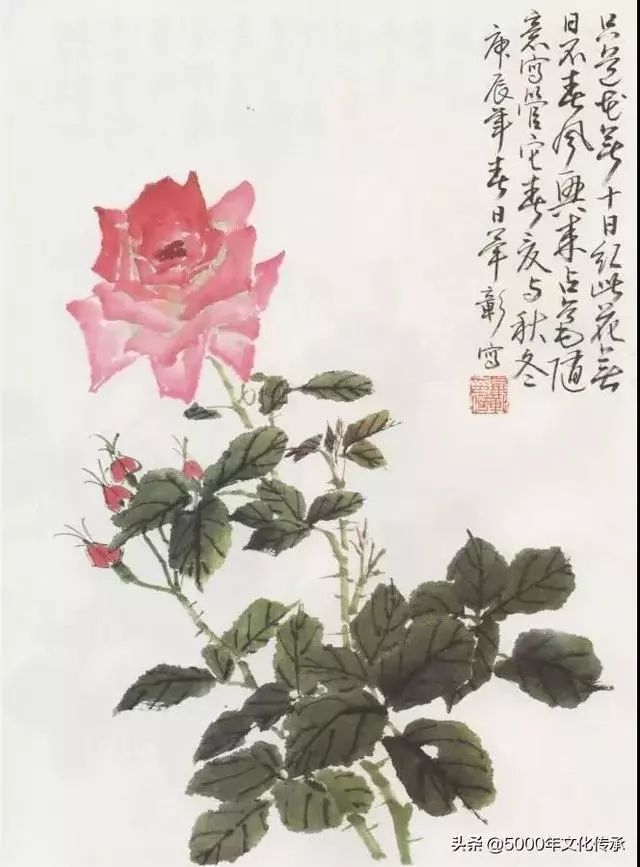 绘画教程:写意花鸟画--月季花技法