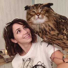 半夜,猫从我脸上飞了过去…