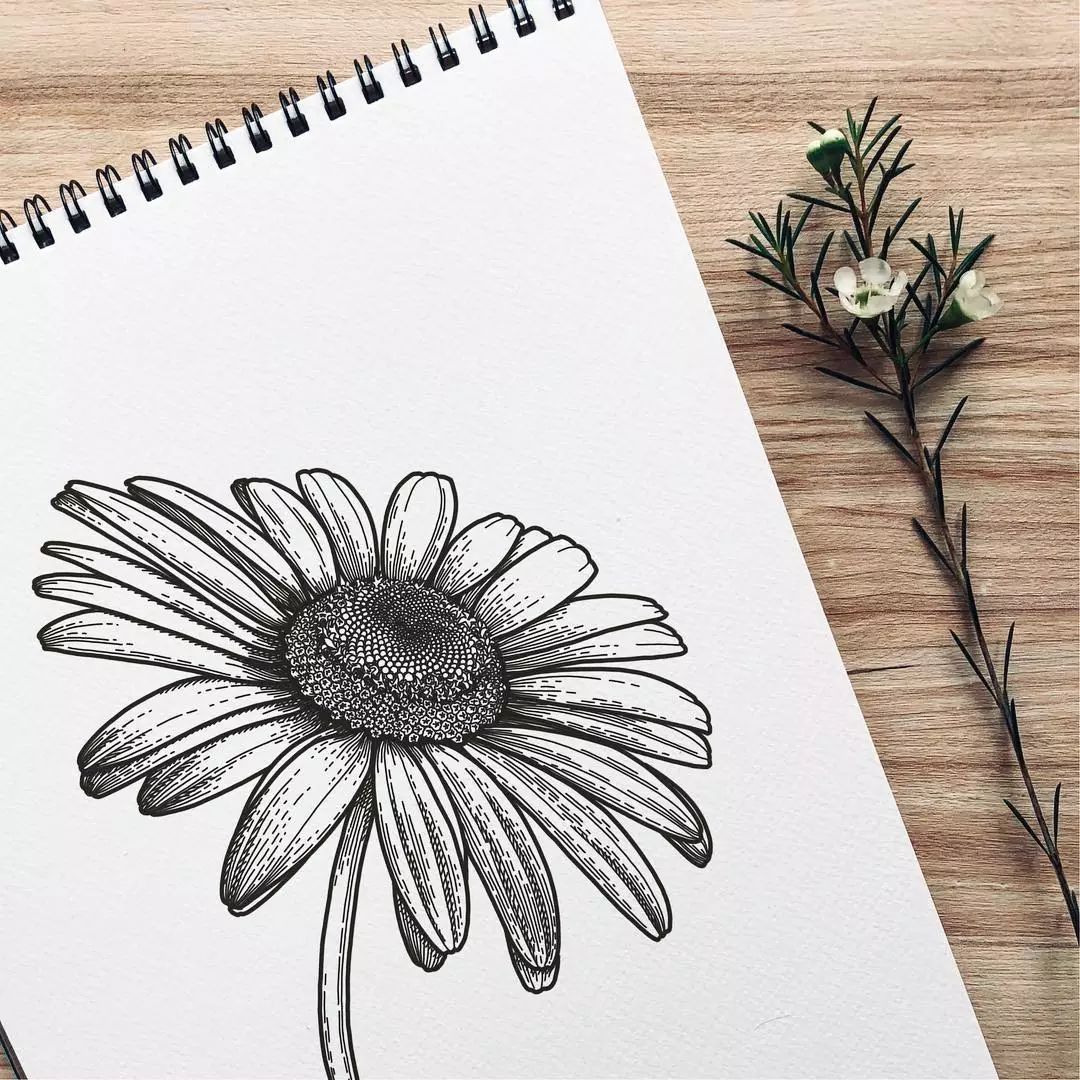 你就承认吧,别人用简单的线条画出这么好看的