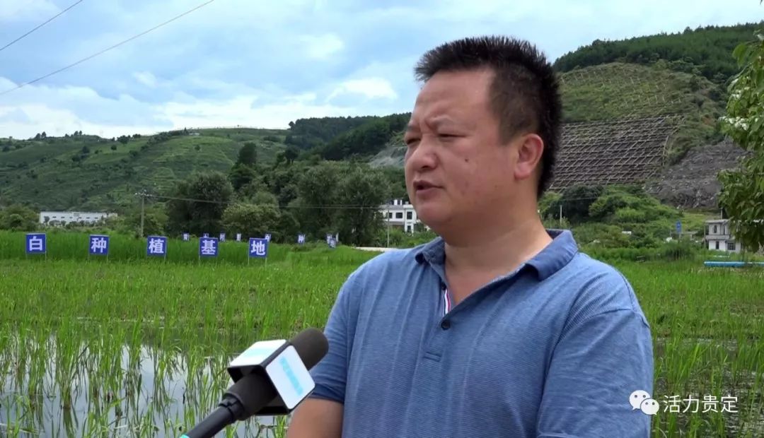 云雾镇关口村驻村工作队队长董正军