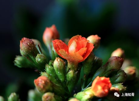 a2fae795f9144bf58d857d0415d87cc1.jpeg