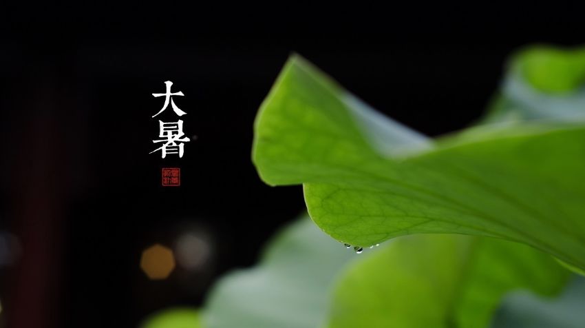 a6333b8c525041f9810251a701a885af.jpeg