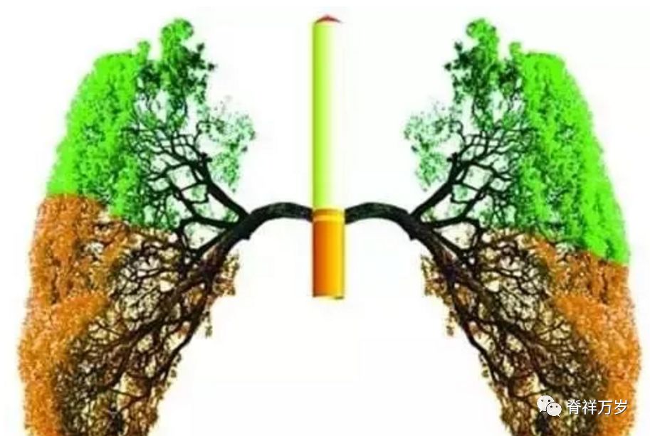 吸烟者 快给肺部洗洗澡