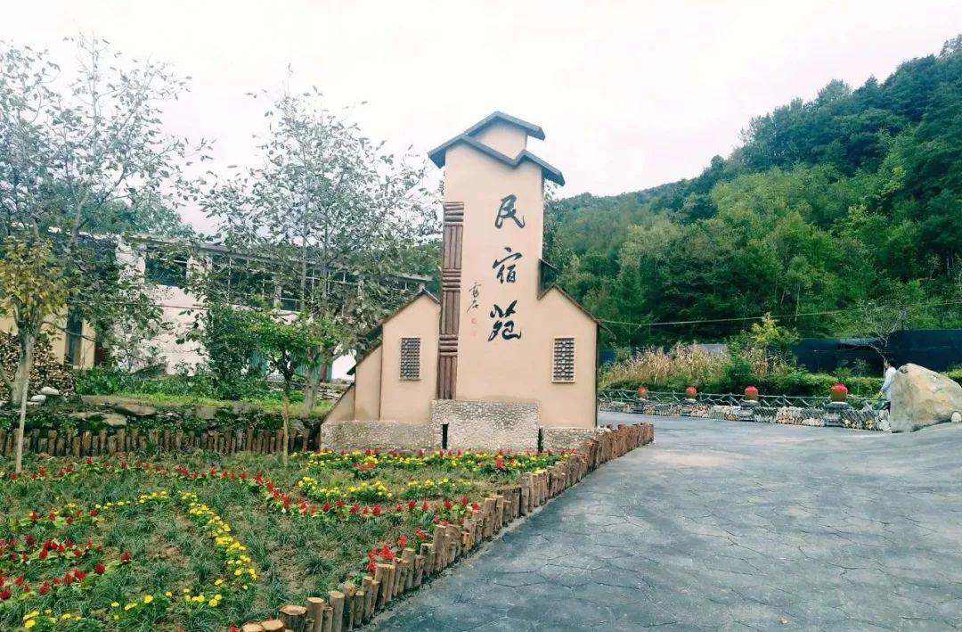中国作家协会原副主席陈崎嵘: 康县在美丽乡村建设上取得了了不起的