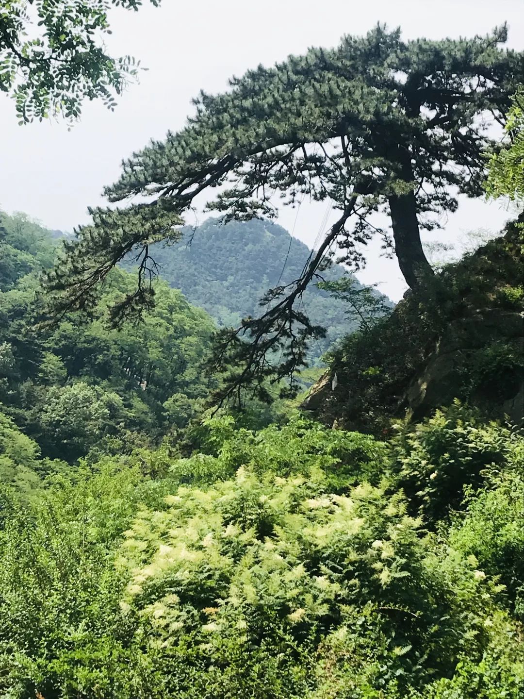 【泰山日出】7.26晚-27夜爬泰山观日出