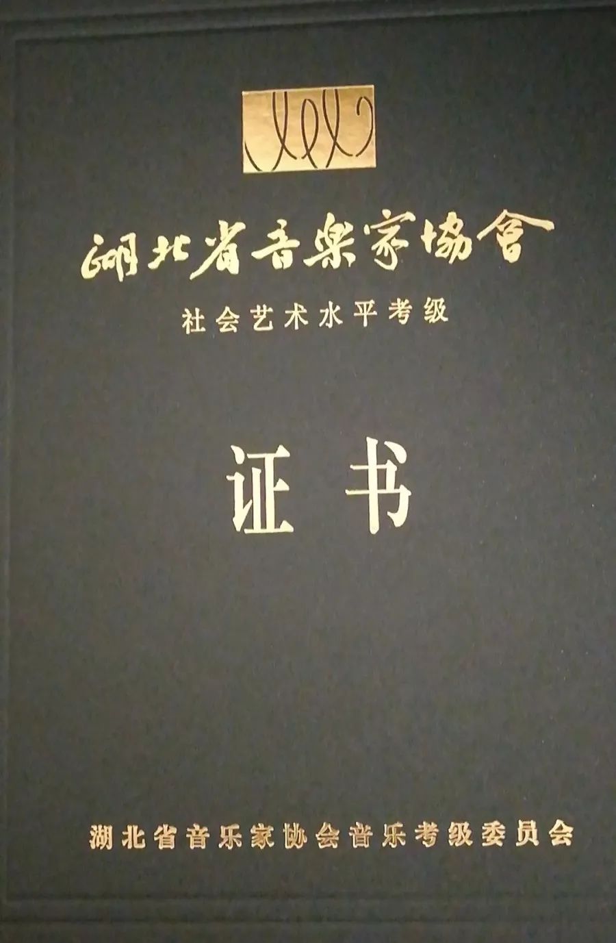 正规性目前正逢一年一度的音乐类考级时间(器乐,声乐;器乐:钢琴,电子