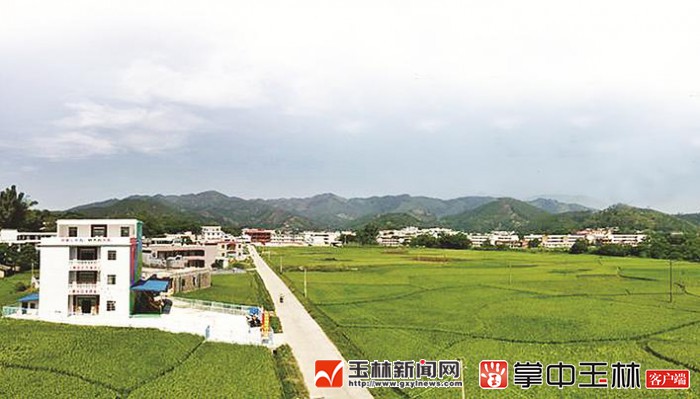 探索"党建 "模式 按下乡村振兴"快进键"   北流市六靖镇龙湾村风貌