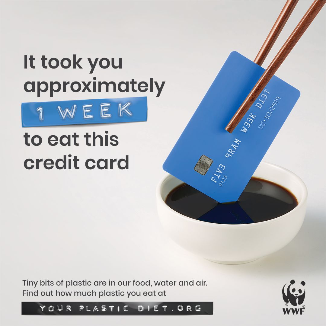 cf7320a9d9fd43d59524582ea8dfa90f.jpeg