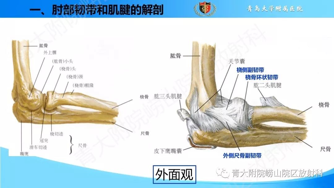 肘部韧带和肌腱损伤的mri诊断