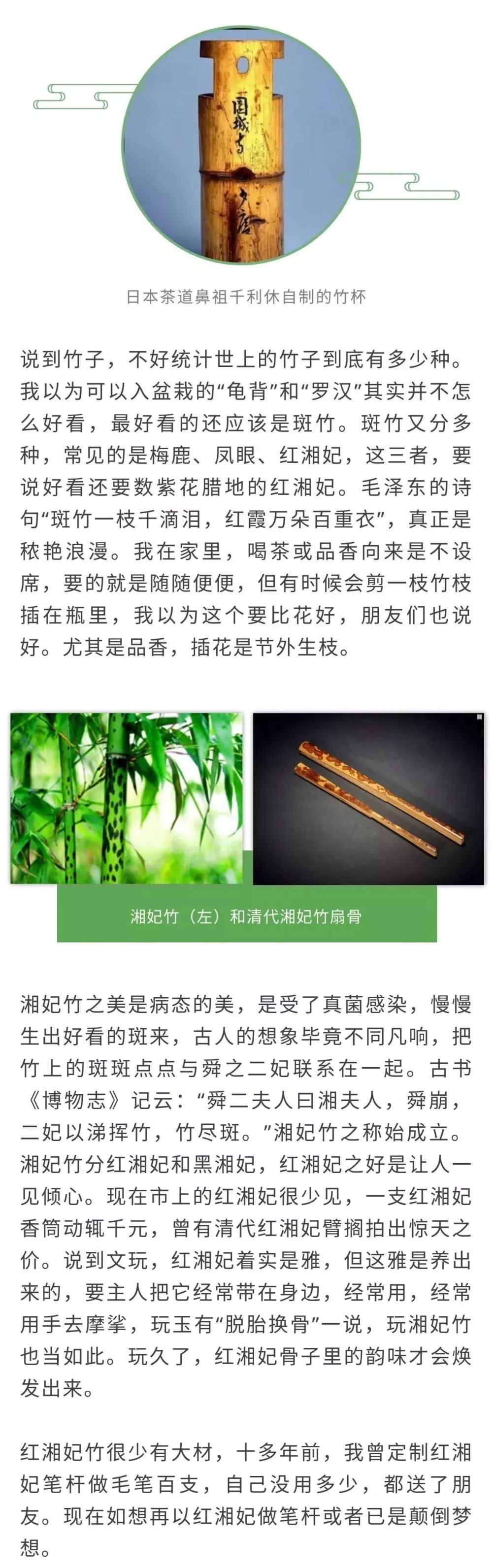 空调和竹子造句