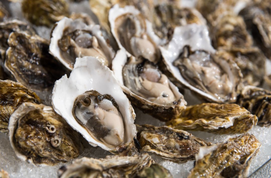 蓝色的海鲜能吃吗 fa593ab53b3c4fd39fac79d081b92774.jpeg