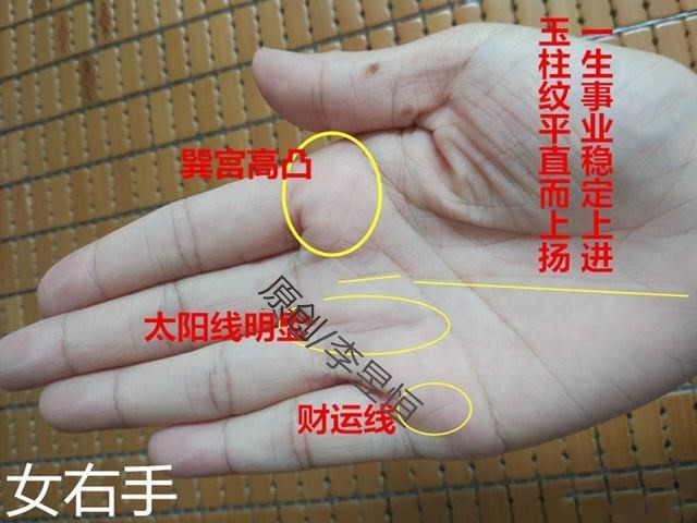 女人手相这4种特征,衣食无亏,旺夫运强!_事业