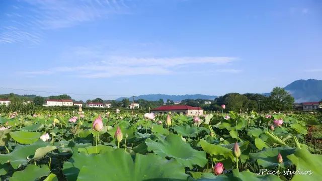 墨江龙潭乡龙潭村有多少人口_墨江龙潭卫生院图片