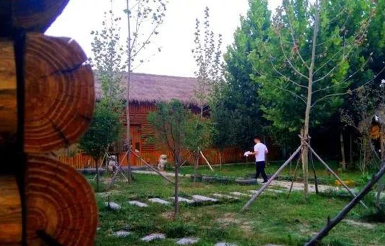 在燥热的夏日,升升农场机械电音节与升升森林生态农场的激情碰撞,定