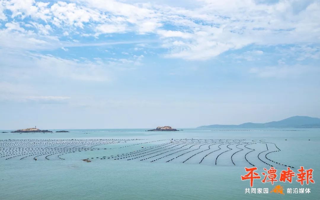 中央生态环境保护督察进行时\n|实验区开展自查,贯彻落实禁止环保“一刀切” og东方馆