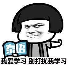 2019年中国大学泰语专业竞争力排行榜,你怎么