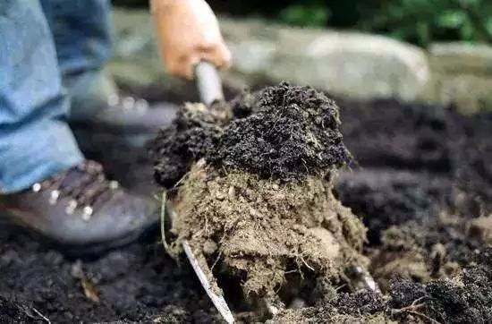 林果科技大讲堂||五种方法教您快速提高土壤有机质