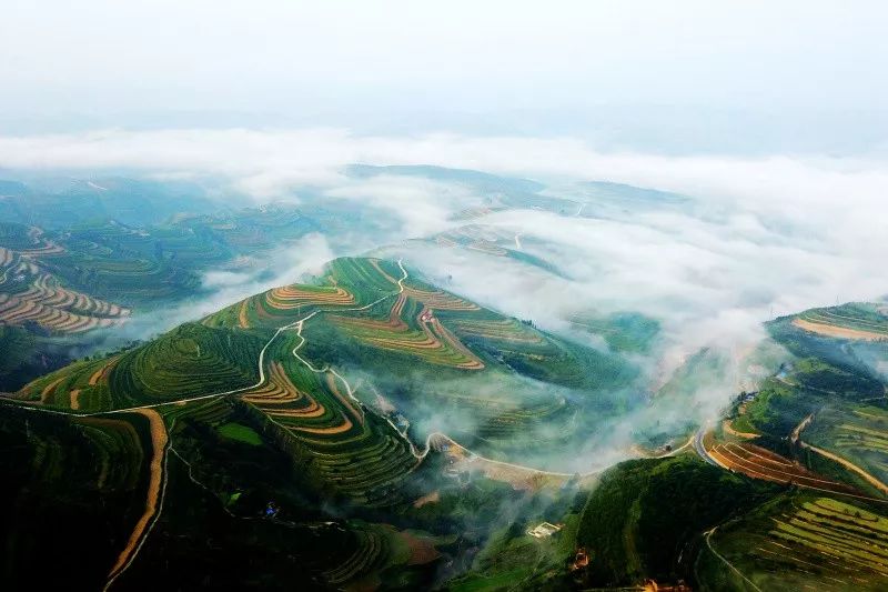 固原梯田固原花儿固原美丽周末盛开