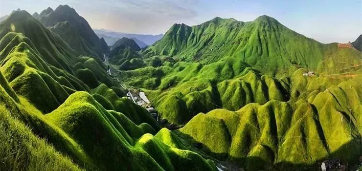 宁德柘荣县鸳鸯草场景区 图转自福建美丽乡村