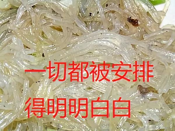 大唐第一男团的粉圈往事