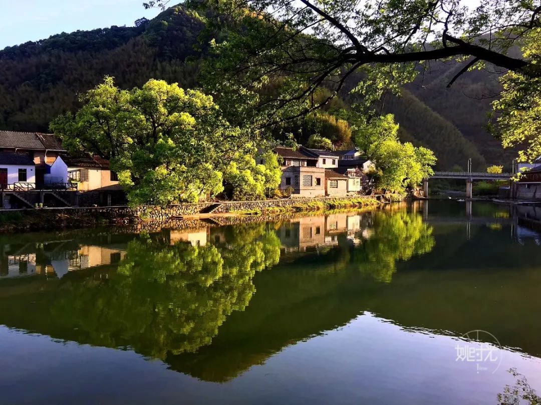 收好这份避暑指南,今年夏天余姚人不用出远门啦!