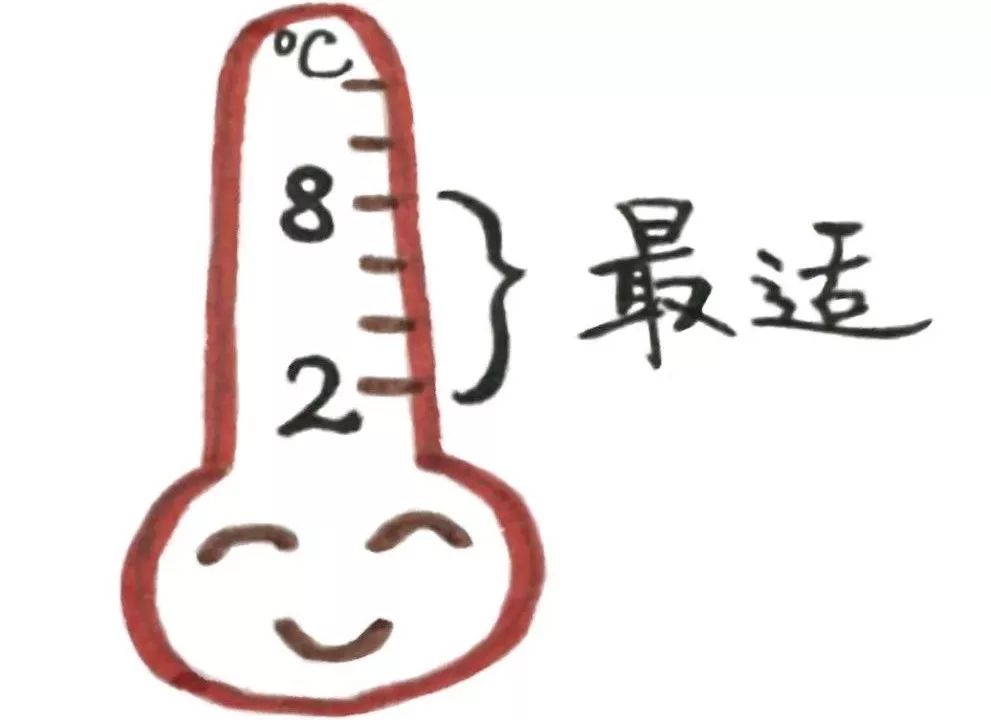 胰岛素怎么样会失效 1bd480188c0e4a89911423b7019057fa.jpeg