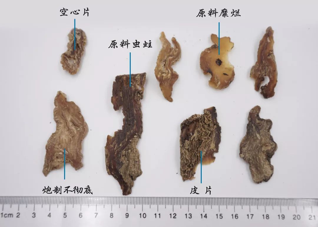 常见中药饮片鉴别彩色图谱130幅