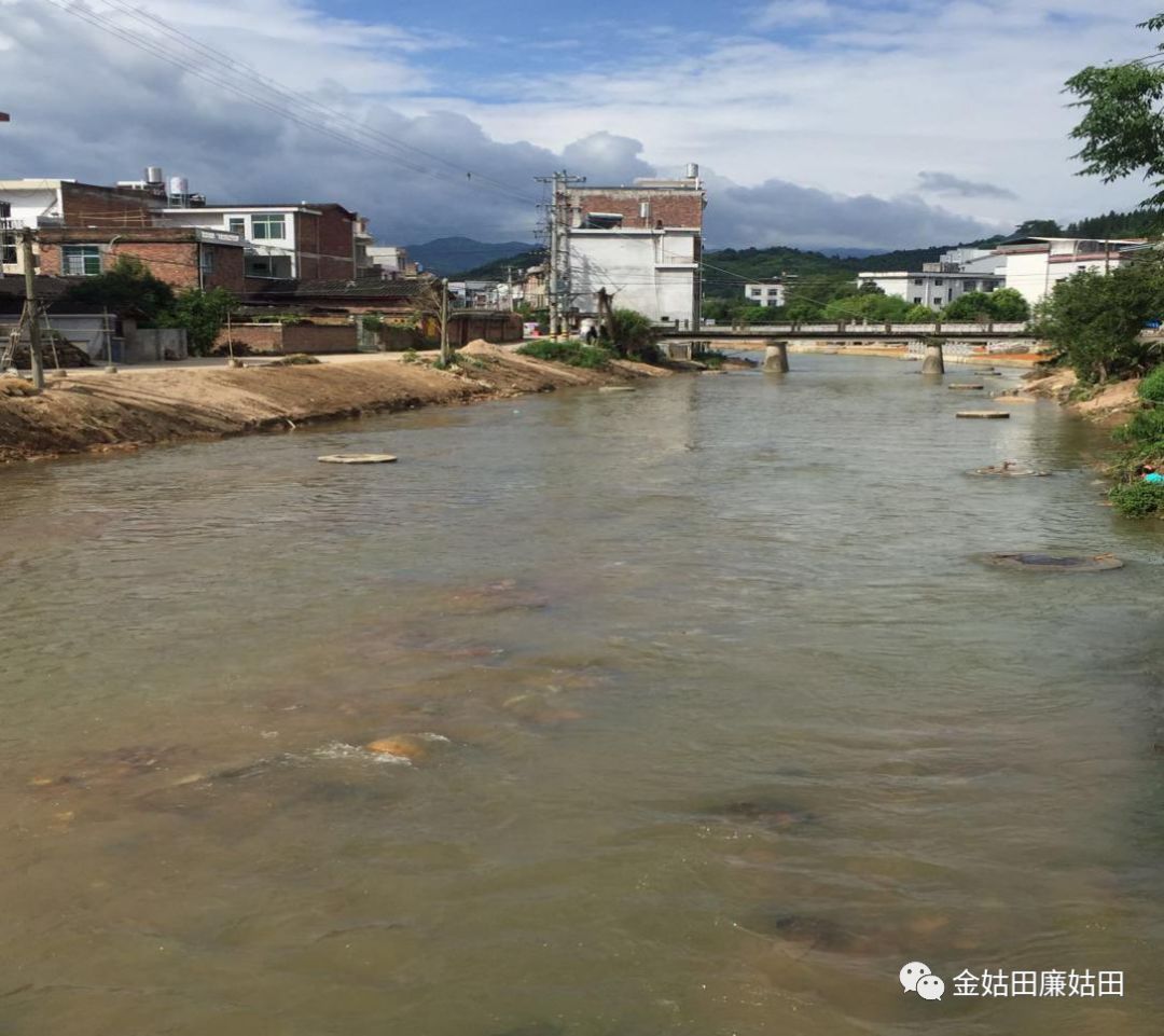 记录姑田溪河道变宽了溪水变美了