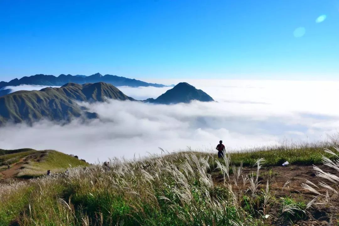 用脚步丈量武功山,感受"履步彩云间"的意境_金顶