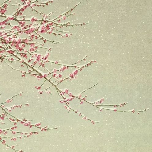 肖战王一博古风大片美如画!论古风还是这位摄影师厉害