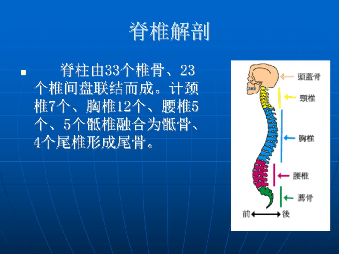 进阶必读脊柱骨折与脊髓损伤概述