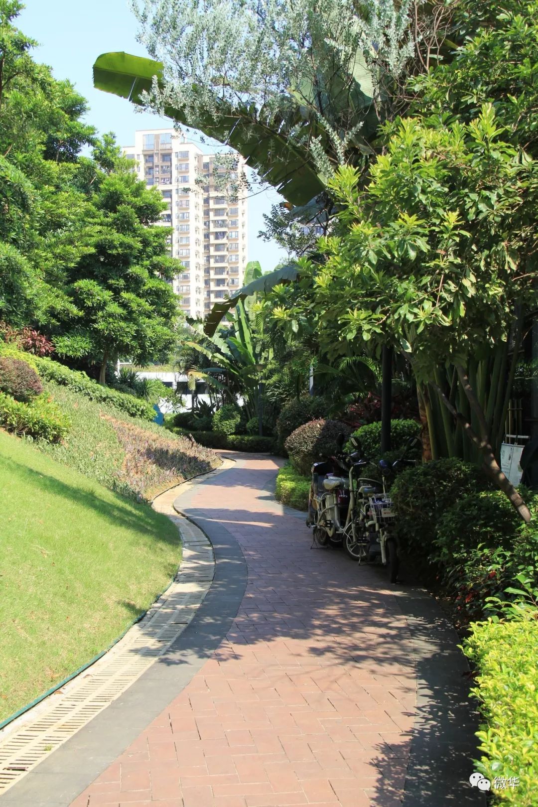 这就叫专业 微星P75新世代设计本评测 【电脑