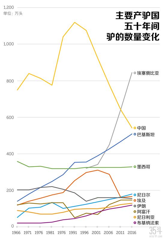 毛驴怎么办