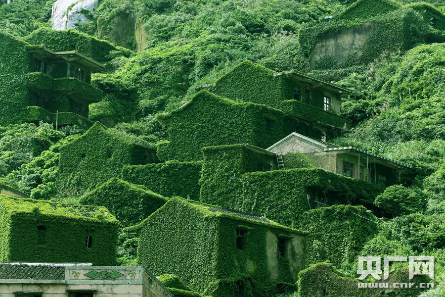 【你好，小島】被時間遺忘的「綠野仙蹤」 探訪神秘海島無人村 旅遊 第4張