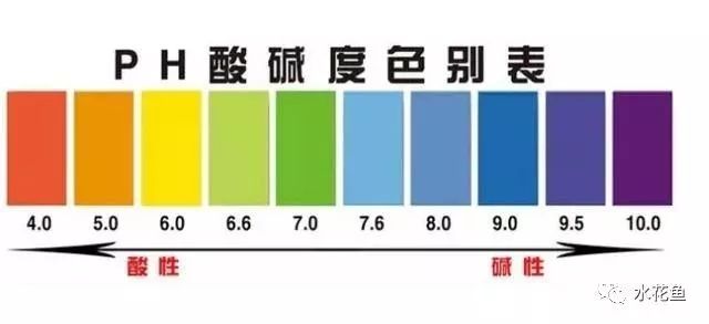 自己怎么测胃酸ph值 3bd12c6bc61840908503b9808d758099.jpeg