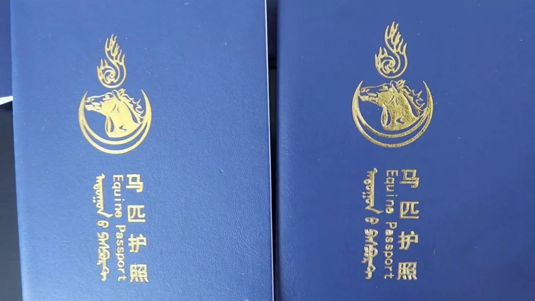 苏尼特蒙古马有护照了蒙古文