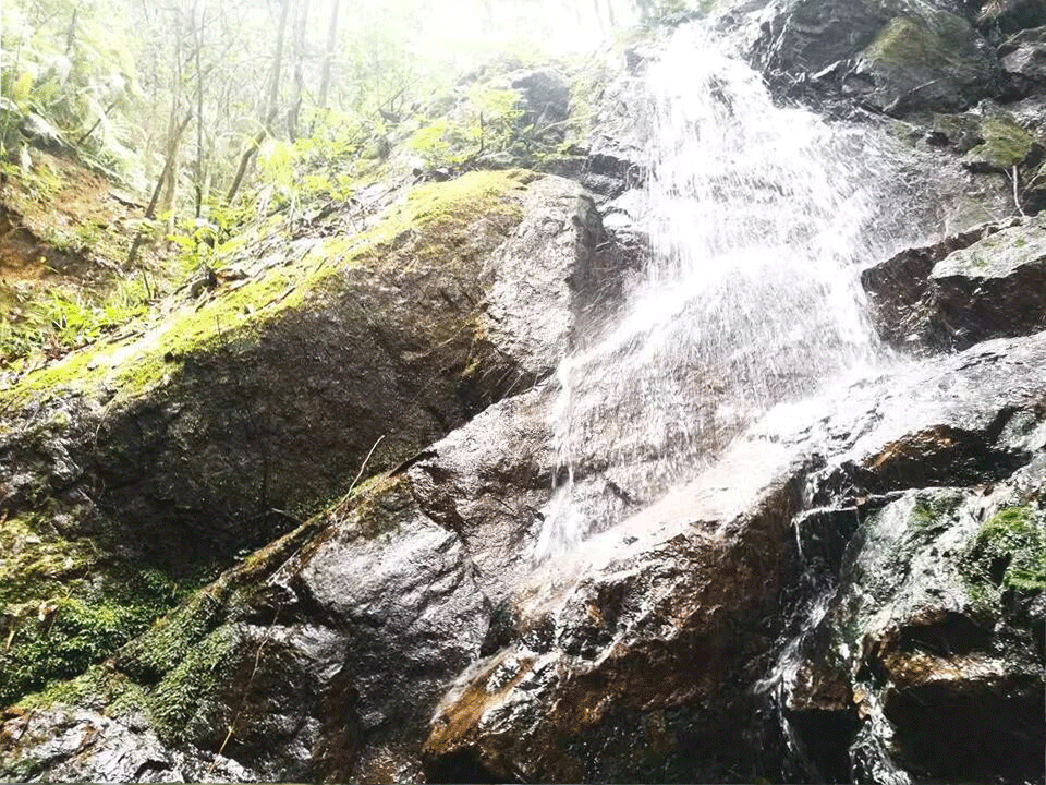 印象半径:青山隐隐水迢迢