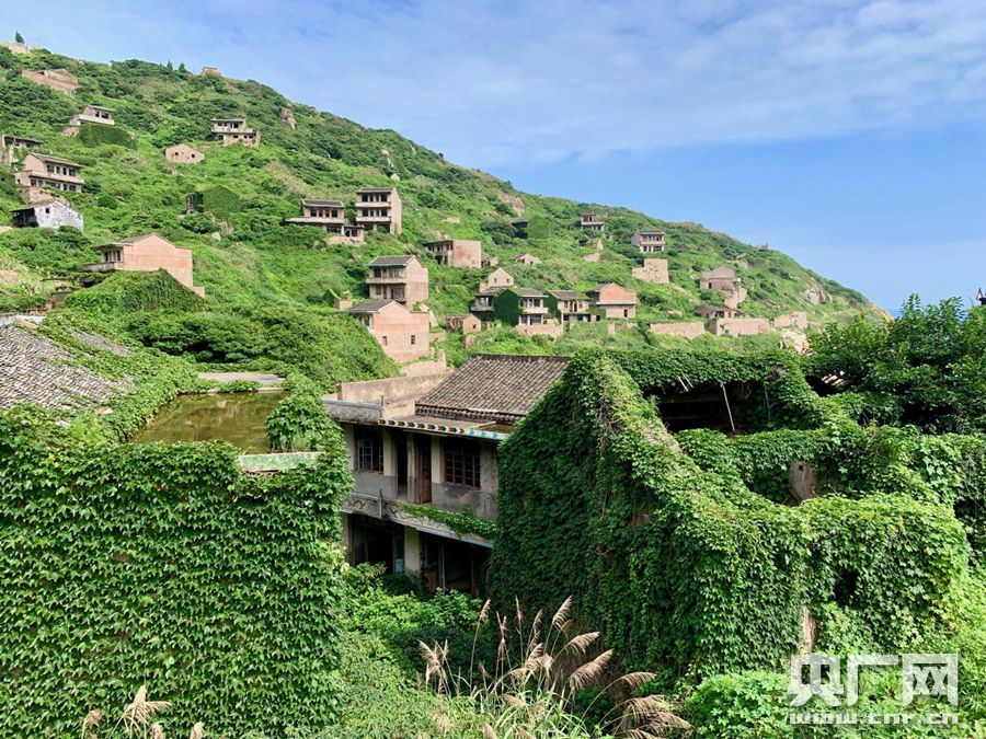 【你好，小島】被時間遺忘的「綠野仙蹤」 探訪神秘海島無人村 旅遊 第9張