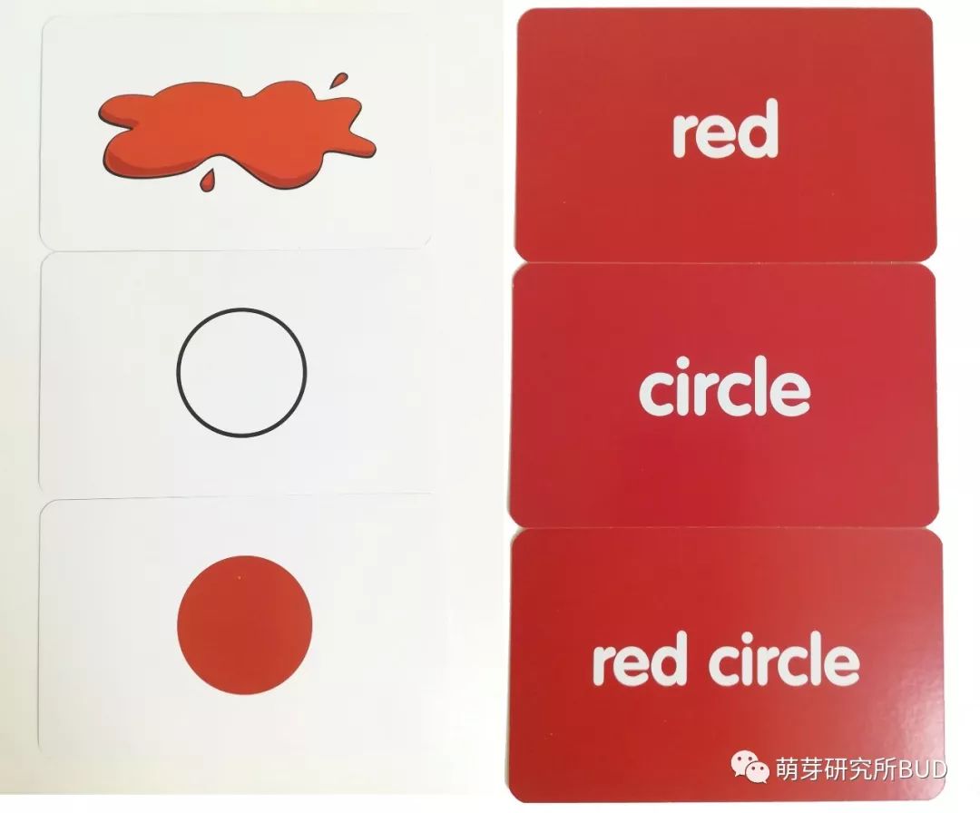 让孩子先学习单词"red",再学习"circle",然后孩子很容易就能认出"red