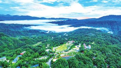 雨城区gdp_四川雅安飞地村找到致富新路子 国内新闻 国内国际(3)